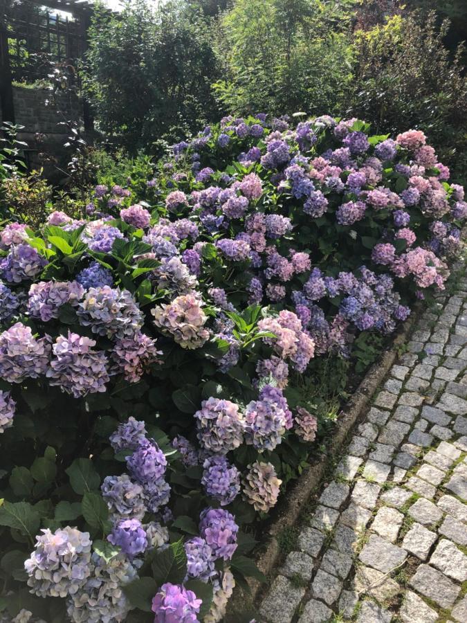 Azyl Karpacz - Kazdy Pokoj Z Wlasna Kuchnia I Lazienka Exterior foto